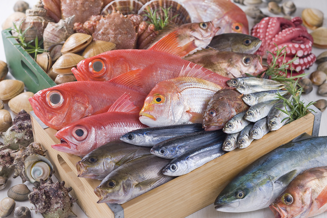生鮮魚